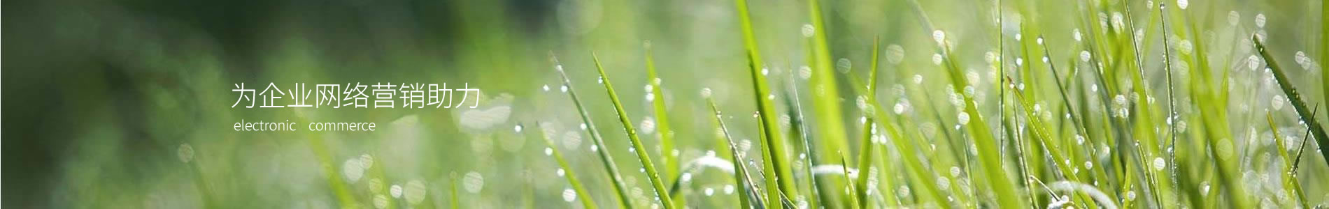 췽ý޹˾